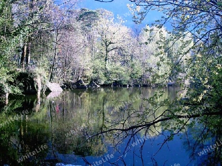 Am Ufer des Tiergartensees