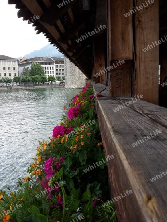 Kappelbr?cke Luzern Blumen-geschm?ckt