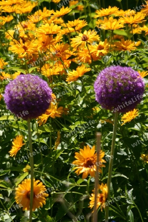 Botanischer Garten