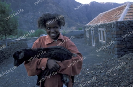 a Girl in the Fogo Village on the Volcano Fogo on the Island Fogo on Cape Verde in the Atlantic Ocean in Africa.