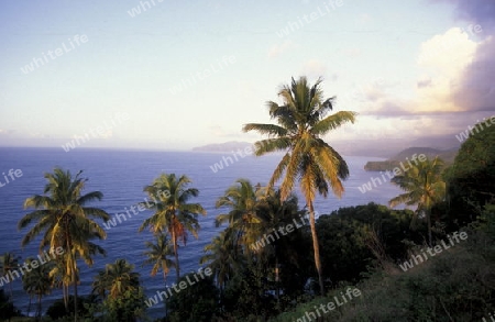 the landscape on the coast of the village Moya on the Island of Anjouan on the Comoros Ilands in the Indian Ocean in Africa.   