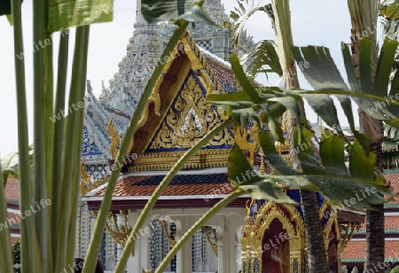 Der Wat Phra Kaew in der Stadt Bangkok in Thailand in Suedostasien.