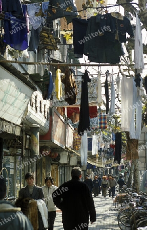 a smal road in the old town in the City of Shanghai in china in east asia. 