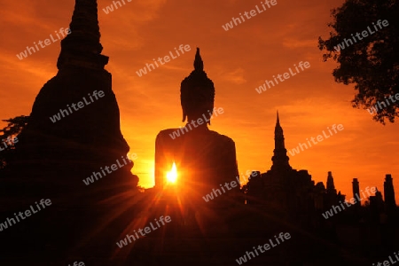 Eine Buddha Figur  im Wat Mahathat Tempel in der Tempelanlage von Alt-Sukhothai in der Provinz Sukhothai im Norden von Thailand in Suedostasien.