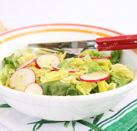 grüner salat mit radieschen