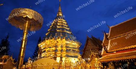 Der Chedi der Tempel Anlage des Wat Phra That Doi Suthep bei Chiang Mai in der Provinz Chiang Mai im Norden von Thailand in Suedostasien.