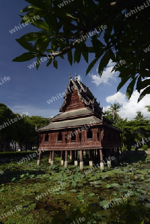 Der Tempel Wat Thung Si Meuang in der Stadt Ubon Ratchathani im nordosten von Thailand in Suedostasien.