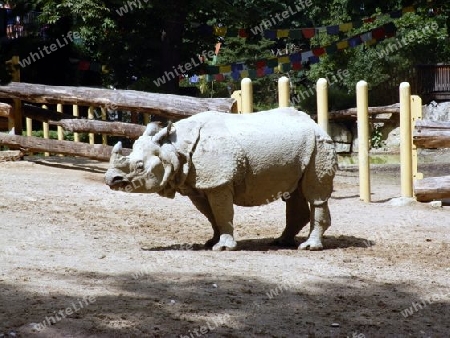 NASHORN