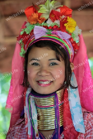 Eine Traditionell gekleidete Langhals Frau eines Paudang Stammes aus Burma lebt in einem Dorf noerdlich von Chiang Mai in Nord Thailand.