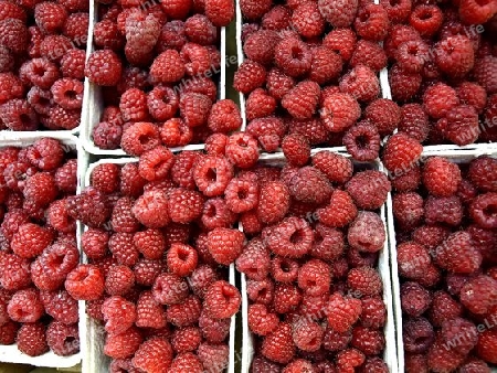 Himbeeren auf dem Markt
