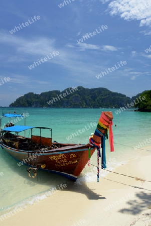 A Beach on the Island of Ko PhiPhi on Ko Phi Phi Island outside of the City of Krabi on the Andaman Sea in the south of Thailand. 