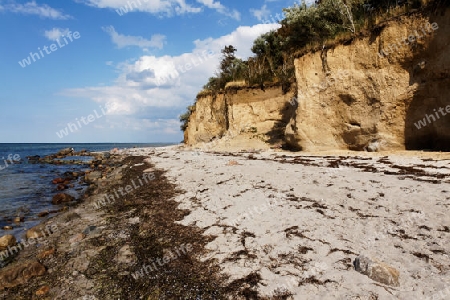 Steilk?ste beim Schwarzen Busch, Insel Poel