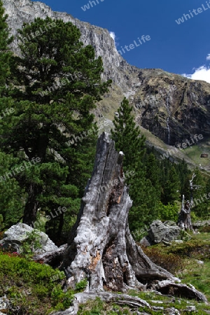 Zillertaler Berge, Oesterreich