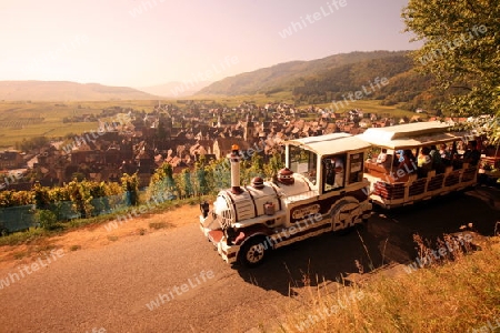 the olt town of the village of Riquewihr in the province of Alsace in France in Europe