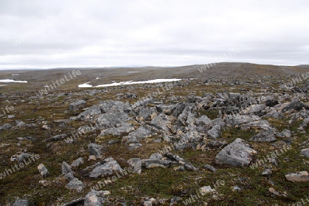 Tundra Nordkinnhalbinsel 2