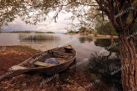 Die Landschaft mit dem Ufer des Skadar See oder Skadarsko Jezero bei Murici in Montenegro in Europa. 