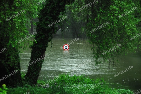 Hochwasser in den Rheinauen