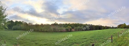 Beautiful high resolution panorama of a northern european country landscape with fields and green grass.