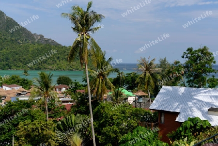 The view from the Viewpoint on the Town of Ko PhiPhi on Ko Phi Phi Island outside of the City of Krabi on the Andaman Sea in the south of Thailand. 