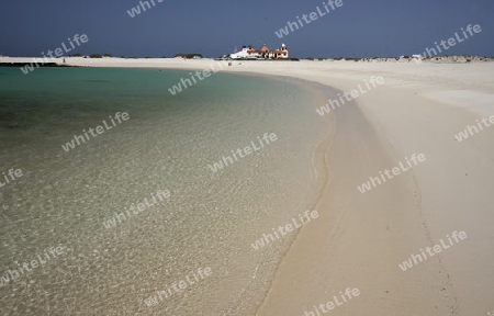 the Beach of  Los Lagos on the Island Fuerteventura on the Canary island of Spain in the Atlantic Ocean.