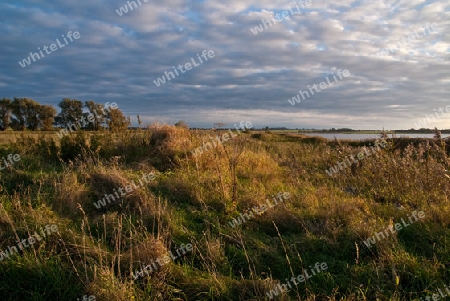 Abend an der Ostsee Mecklenburg Vorpommern