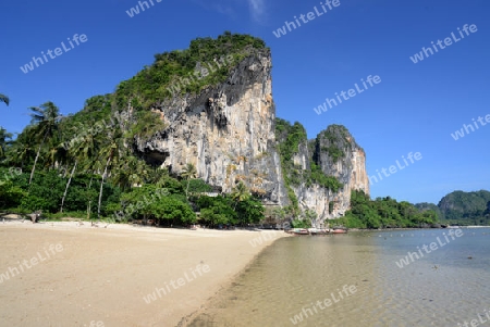 The Hat Tom Sai Beach at Railay near Ao Nang outside of the City of Krabi on the Andaman Sea in the south of Thailand. 