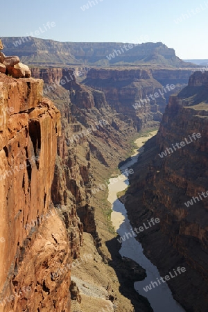 Grand Canyon North Rim, Nordrand, Toroweap point, Colorado river, Arizona, USA