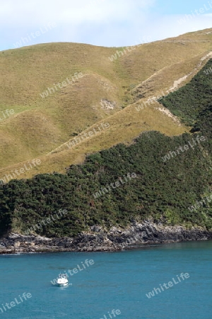 Queen Charlotte Sound