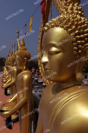 Buddha Figuren in einem Tempel bei der Stadt Khorat in der provinz Nakhon Ratchasima im Nordosten von Thailand im Suedwesten von Thailand in Suedostasien. 