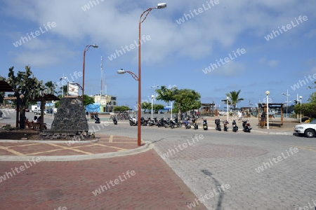 zentraler Platz am Hafen von Puerto Ayora,  Insel Santa Cruz, Indefatigable Island, Galapagos Archipel, Unesco Welterbe,  Ecuador, Suedamerika