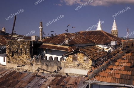 Die Altstadt in Stone Town der Hauptstadt der Insel Zanzibar oestlich von Tansania im Indischen Ozean.