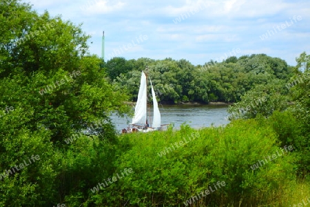 Segeln auf der Elbe 