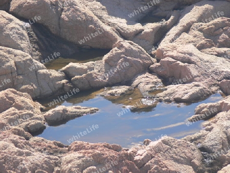 Wasserpf?tze im Gestein