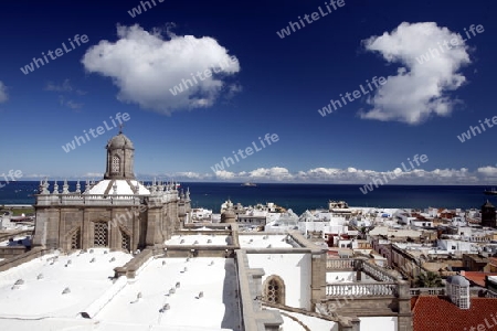 the view from the cathedral in the city Las Palmas on the Canary Island of Spain in the Atlantic ocean.