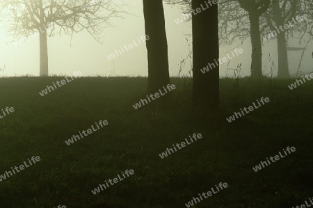 Herbstlandschaft