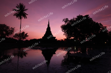 Ein Chedi beim Wat Mahathat Tempel in der Tempelanlage von Alt-Sukhothai in der Provinz Sukhothai im Norden von Thailand in Suedostasien.