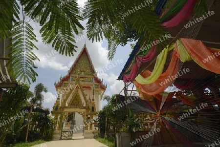 Der Tempel Wat Pak Saeng bei Lakhon Pheng am Mekong River in der Provinz Amnat Charoen nordwestlich von Ubon Ratchathani im nordosten von Thailand in Suedostasien.