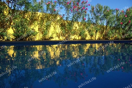 Mirror pool