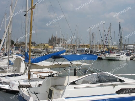 Marina in Palma de Mallorca