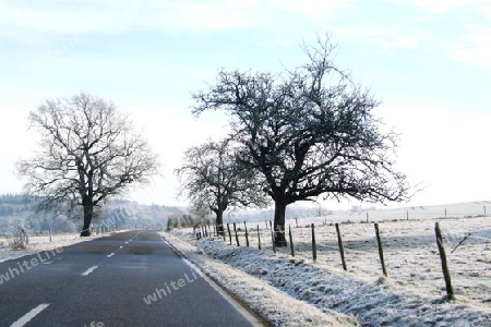 Landstra?e im Winter