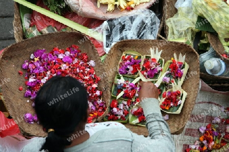 Asien, Suedost, Indonesien, Bali, Insel, Ubud, Zentrum, Markt, Kunsthandwerk,  Geschaeft, Wirtschaft, Handel, Frau, Arbeit, Blumen, Blueten, Tempel, Alltag,  (Urs Flueeler) 