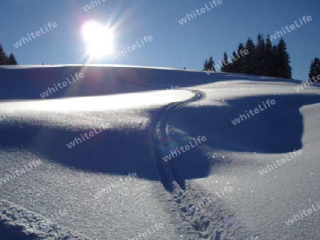 Spuren im Schnee