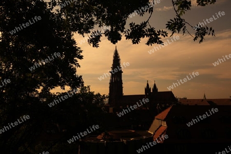  the muenster church in the old town of Freiburg im Breisgau in the Blackforest in the south of Germany in Europe.