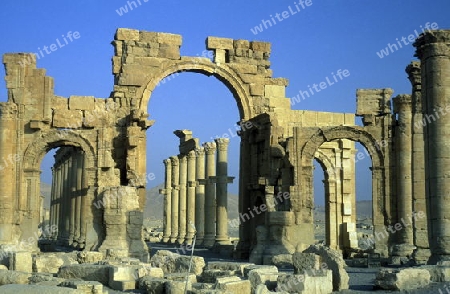 Die Ruinen von Palmyra in der Wueste Faydat in Syrien im Mittleren Osten in Arabien.