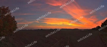 Beautiful high resolution panorama of a northern european country landscape with fields and green grass.