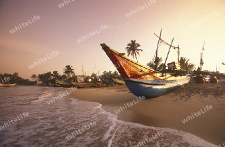 Asien, Indischer Ozean, Sri Lanka,
Ein traditionelles Fischerboot mit Fischern beim Kuestendorf Hikkaduwa an der Westkueste von Sri Lanka. (URS FLUEELER)






