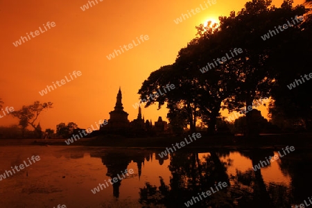 Ein Chedi beim Wat Mahathat Tempel in der Tempelanlage von Alt-Sukhothai in der Provinz Sukhothai im Norden von Thailand in Suedostasien.