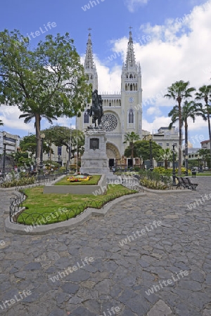 Parque Seminario oder auch Parque Bolivar oder Parque de las Iguanas,  Iguanapark, Guayaquil, Ecuador, Suedamerika