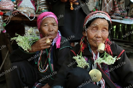 Traditionell gekleidete Frauen von einem Stamm der Akha beim Dorf Fang noerdlich von Chiang Mai im Norden von Thailand.