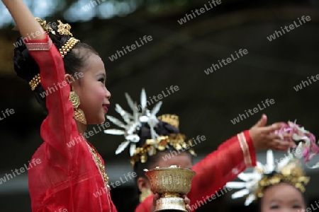 Traditionelle Taenzerinnen tanzen in einem Park in Chiang Mai im Norden von Thailand.